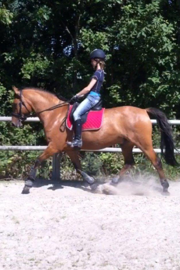 DSP Margo Lux - Margo!<3 billede 6