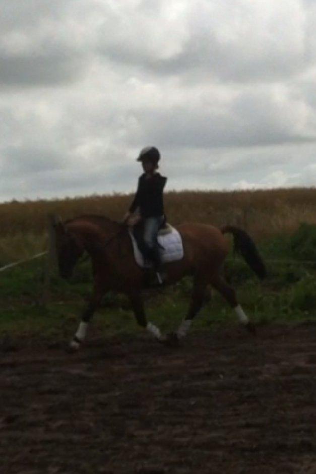 DSP Margo Lux - Første gang jeg rider på den smukke!<3 billede 9