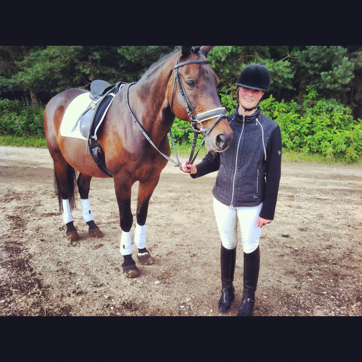 Trakehner Thjalfe - Jysk Rideuge 2012 efter at have redet LA1 <3
Vi ser lidt tykke ud, men nogen skal jo være det (; billede 14