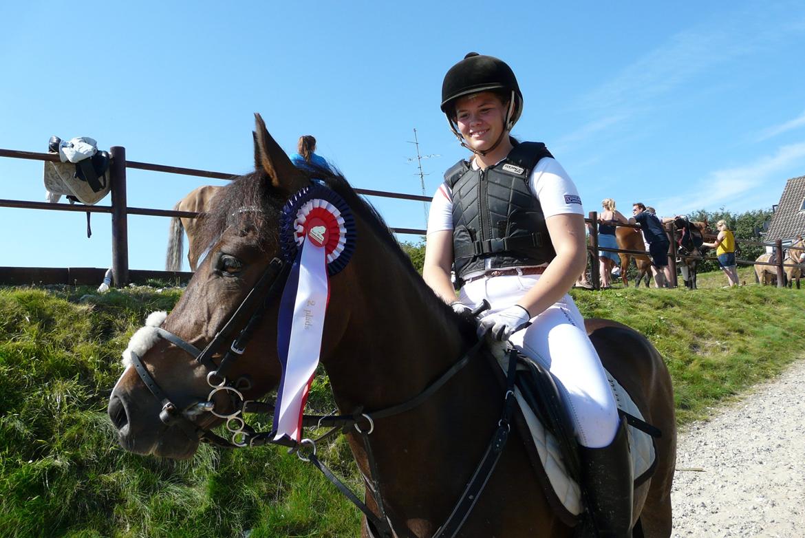 New Forest Odden's Daytonna A-Pony - 2.plads i LA2** + 750 kr Stall Melby 2012<3 billede 13