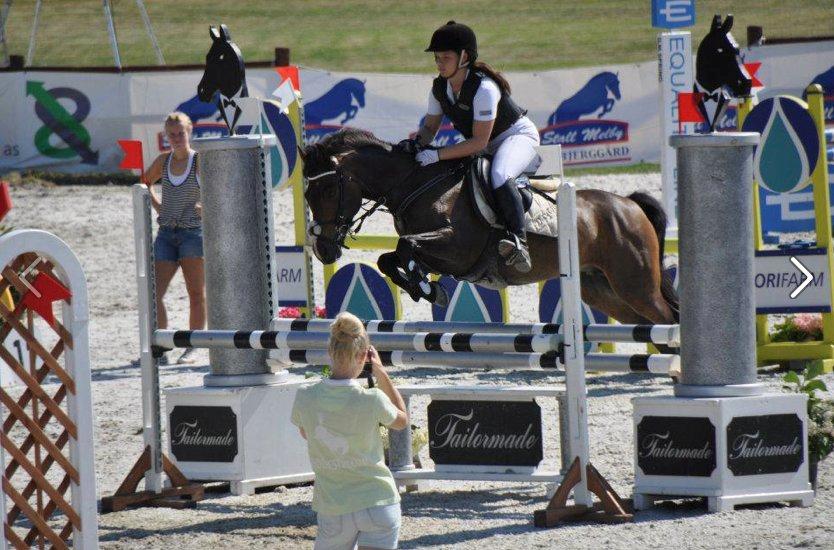 New Forest Odden's Daytonna A-Pony - MB2** - 0.fejl og 4.plads - kun vores 4 MB! 2012 billede 6