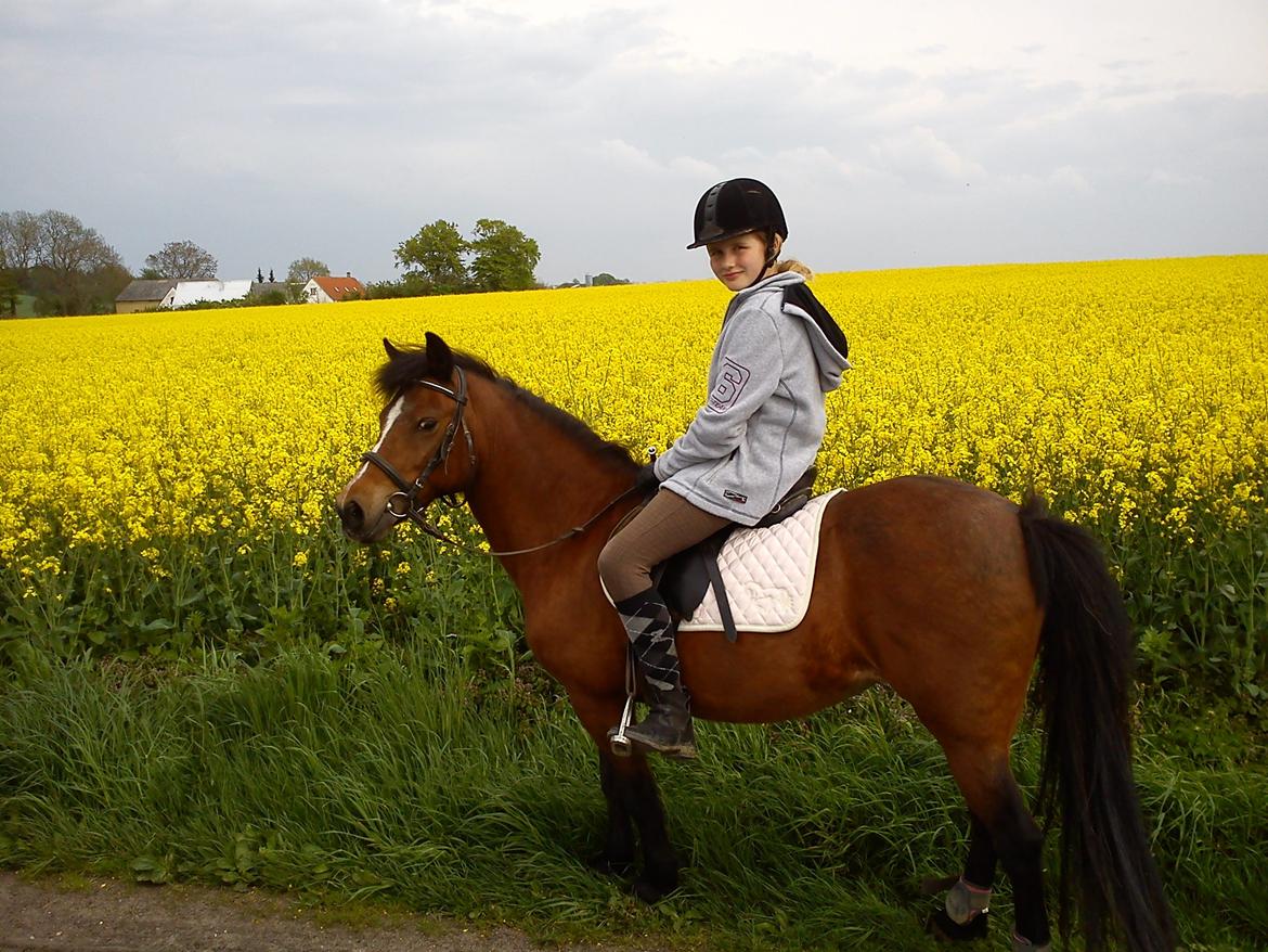 Anden særlig race - Smukke Fanta!<3 | My Soulmate |  Min Bedste Ven - Kønne.<3 billede 7