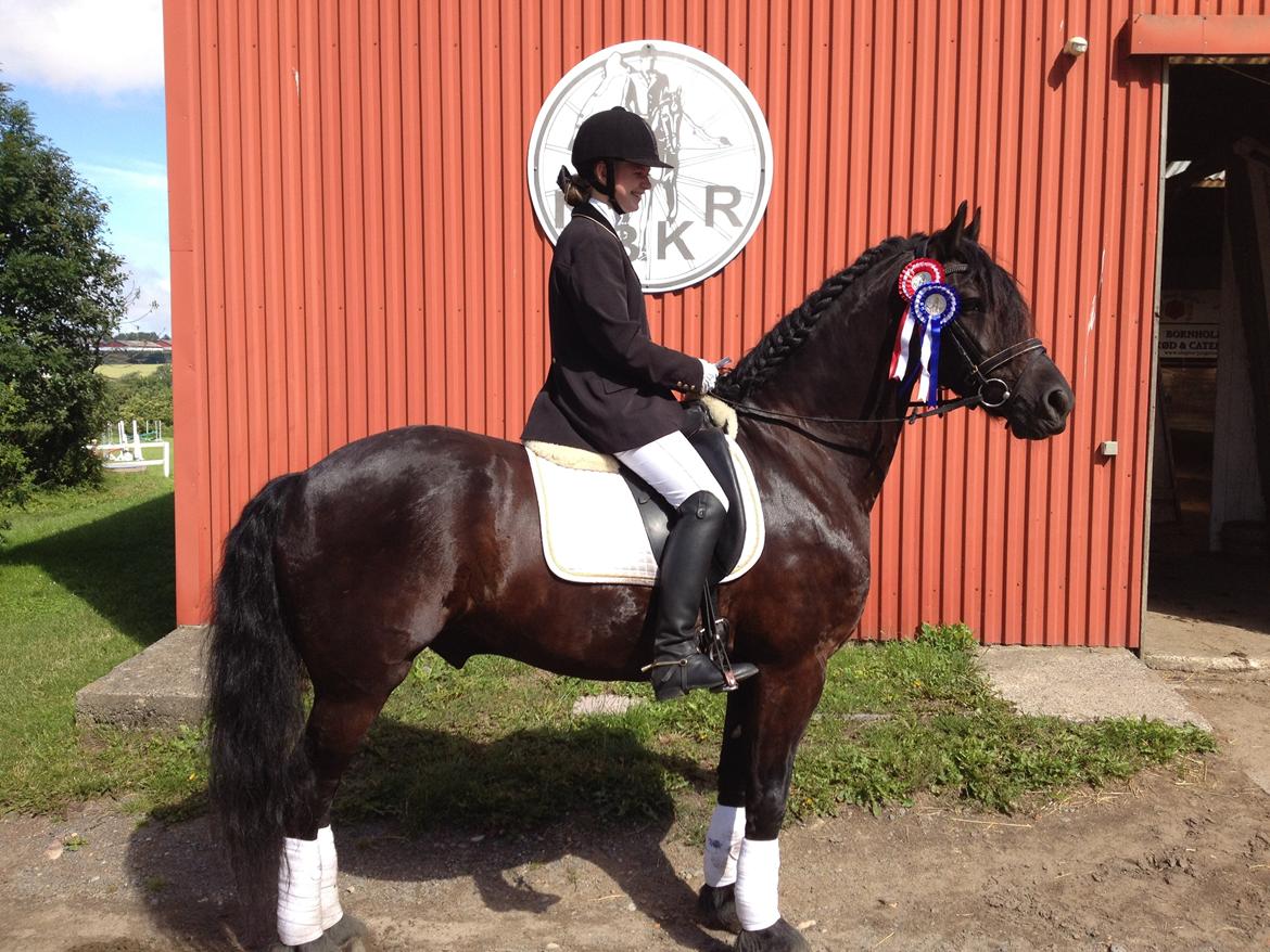 Frieser Kashmir Toustrup - Min dejlige hyp hest efter en LA1 (rød) som blev 66 % og en LA2 (blå) 64 % :D billede 10