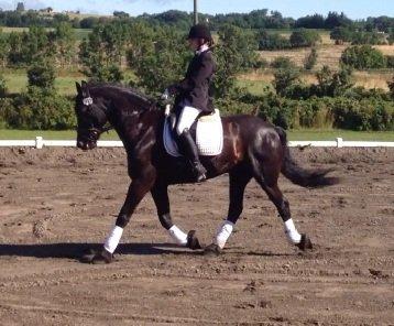 Frieser Kashmir Toustrup - ned af midterlinjen ;) billede 11