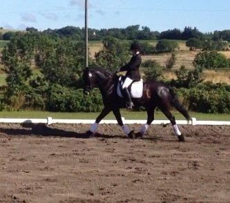 Frieser Kashmir Toustrup - stævne 2012 billede 13