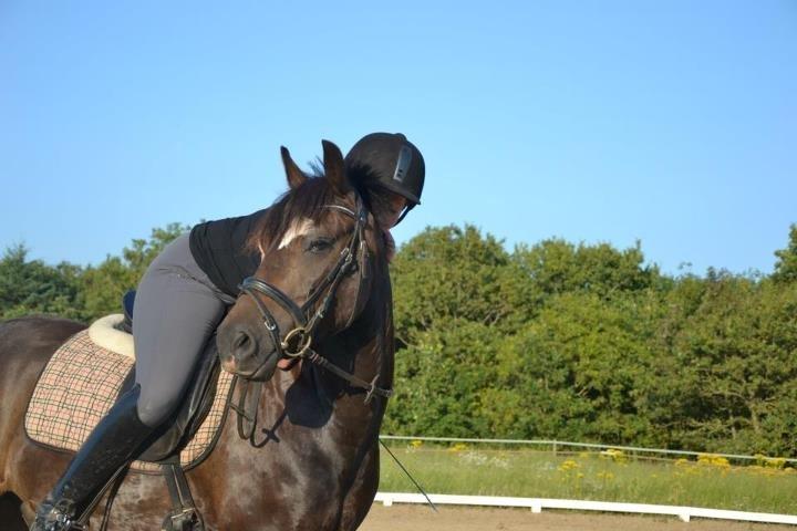 New Forest Krondalens Corfu - Sommer 2012 billede 4