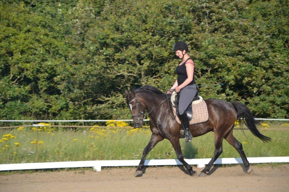 New Forest Krondalens Corfu - Sommer 2012 billede 7