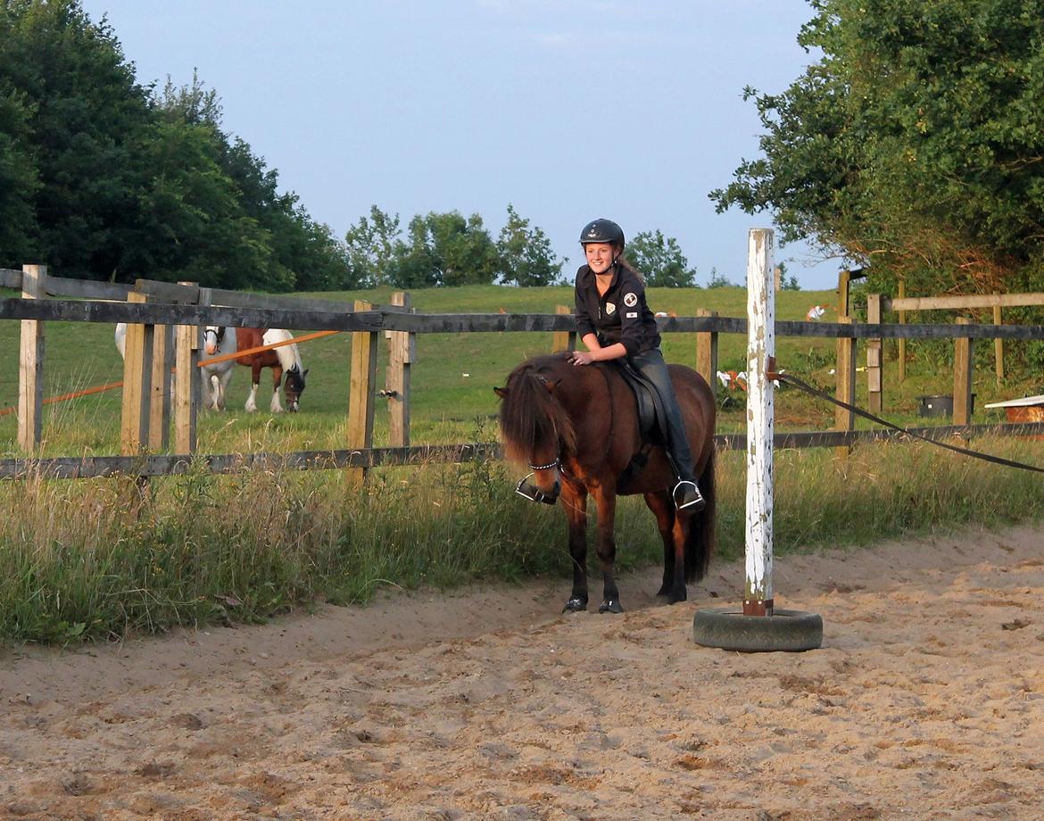 Islænder Stormur Fra Hvolbæk *Hvil I Fred* - Jeg elsker dig  <3 :') billede 5