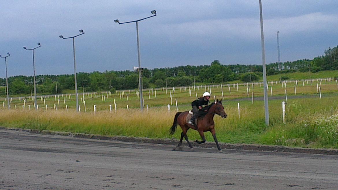 Traver Power Of Roll billede 2