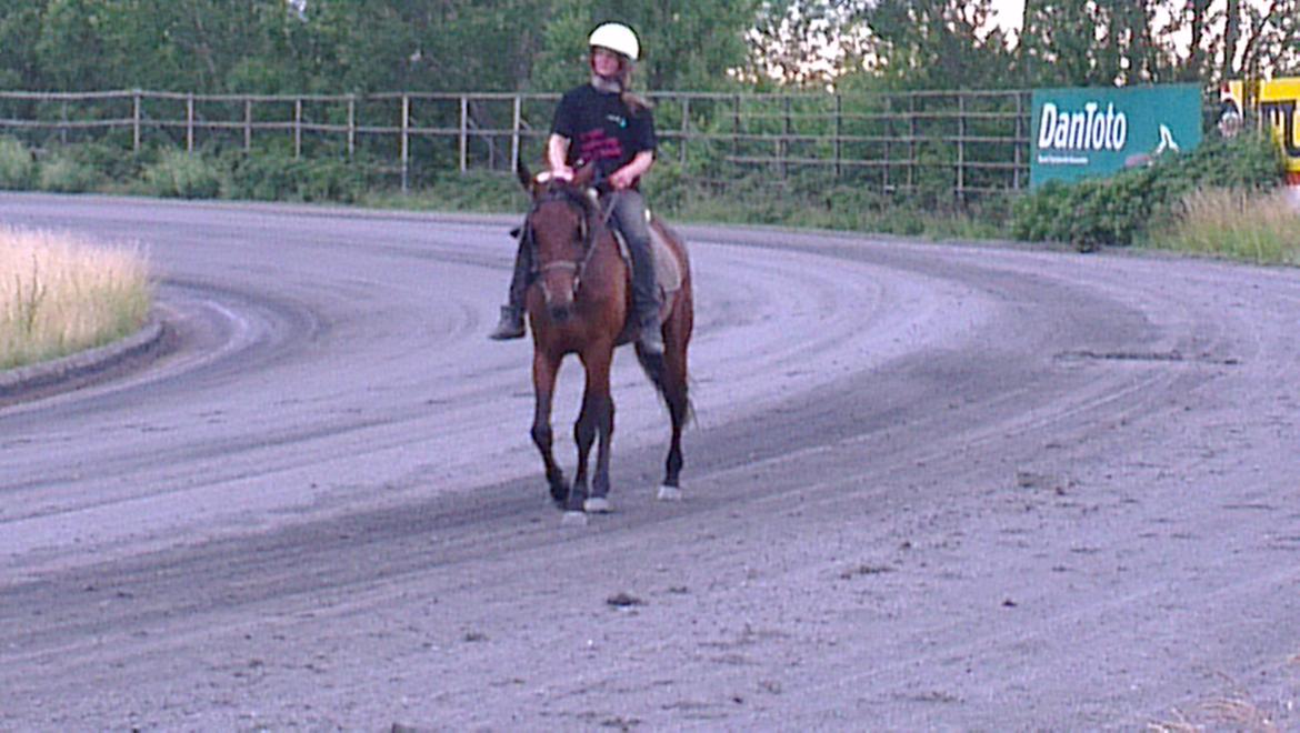 Traver Power Of Roll billede 4