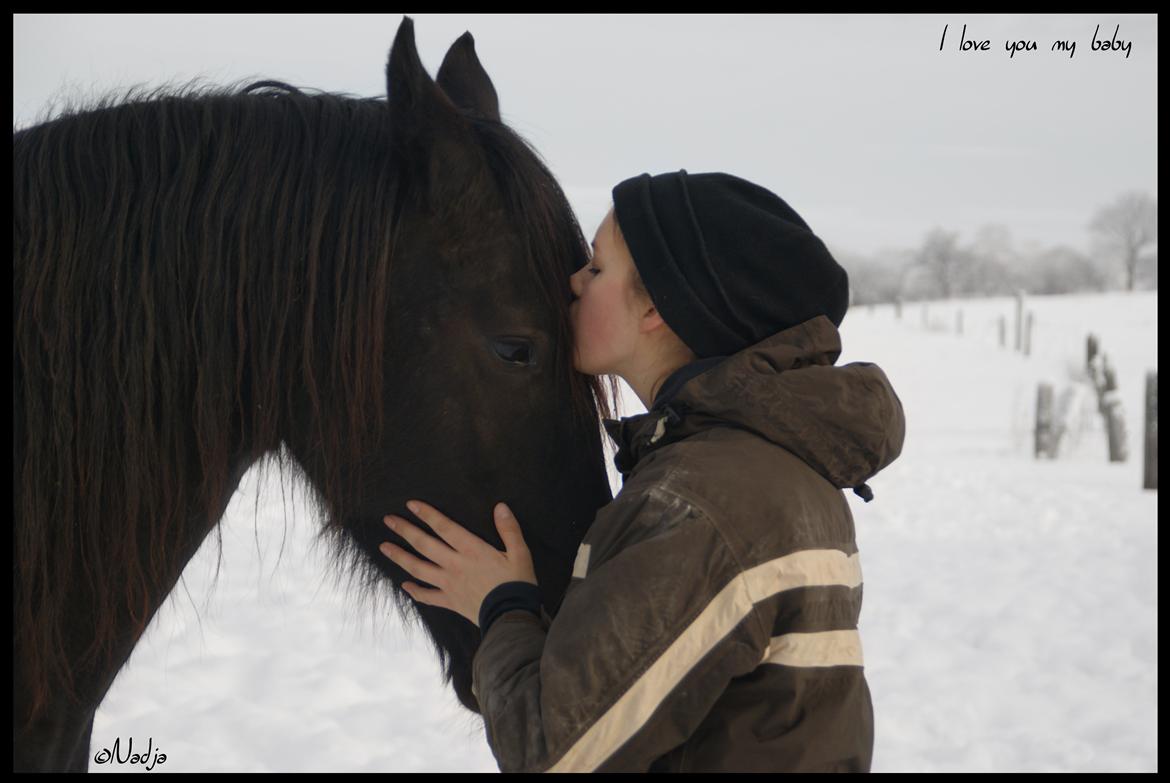 Frieser Femke's Camina <3 - My everything! Foto: Mie billede 4