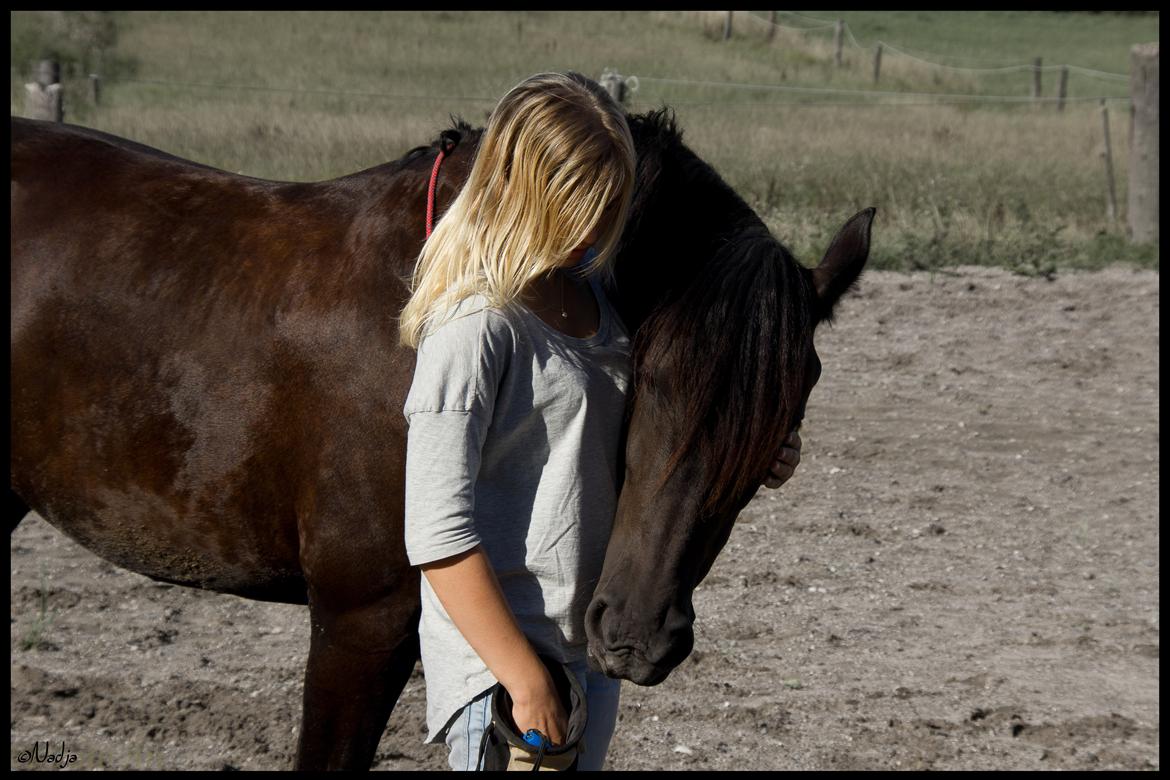 Frieser Femke's Camina <3 - :] <3 Foto: BK billede 7