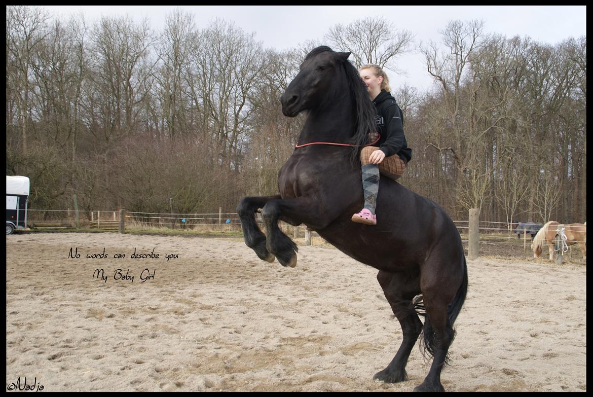 Frieser Femke's Camina <3 - Words? I miss them! Foto: Mie billede 17