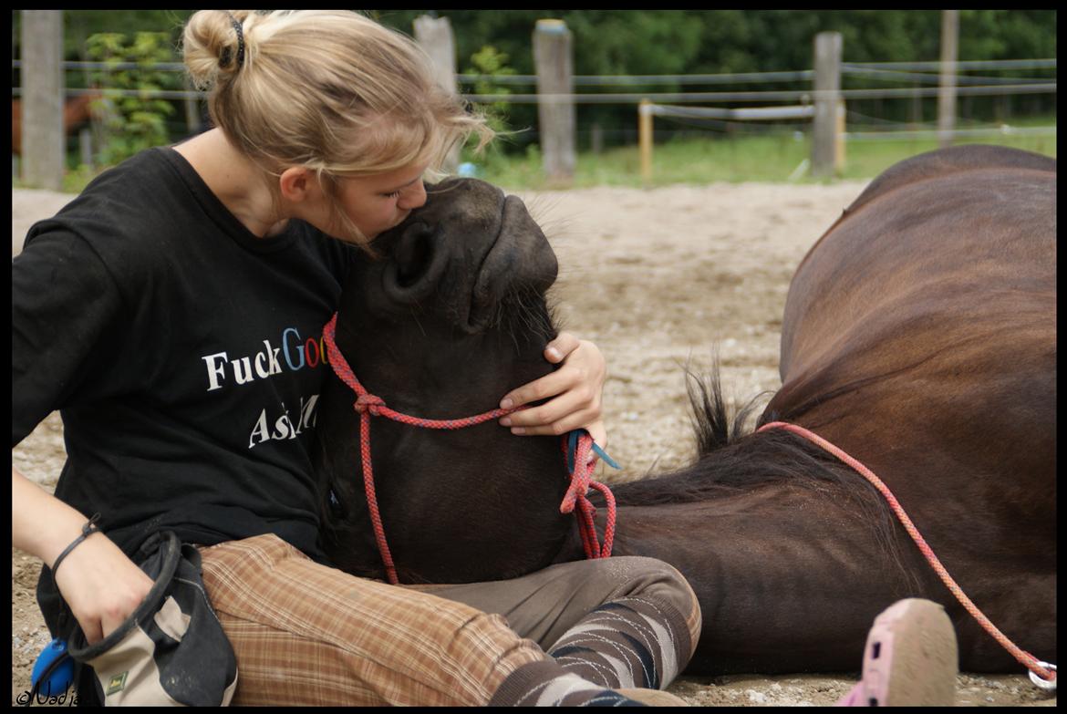 Frieser Femke's Camina <3 - A peaceful moment! Foto: Mie billede 18