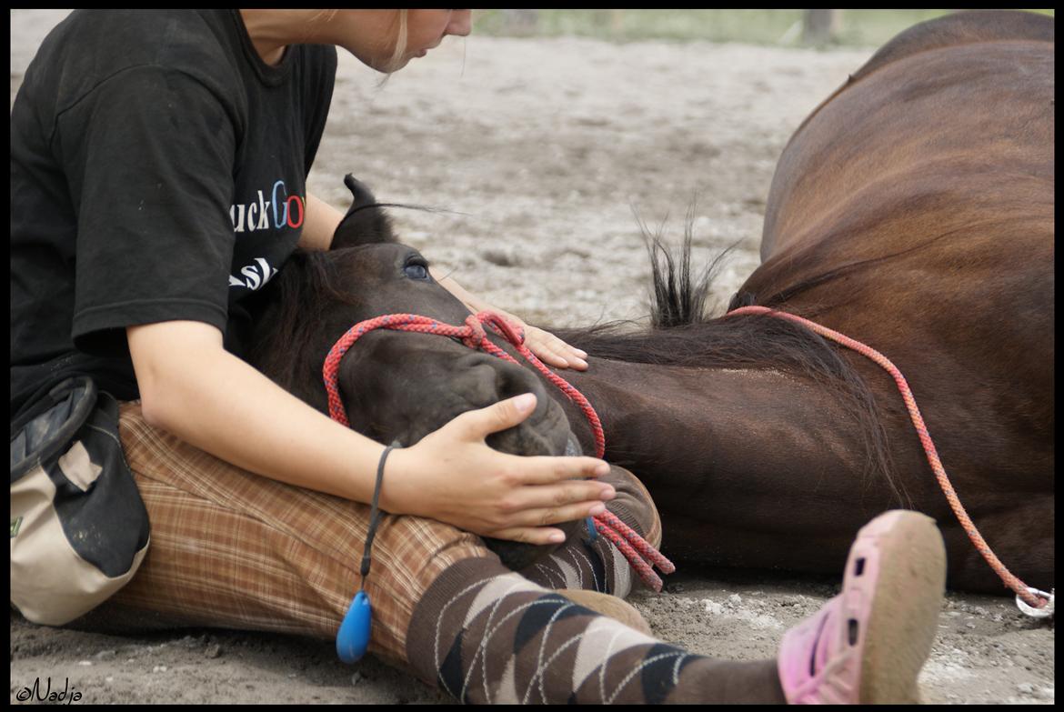 Frieser Femke's Camina <3 - It's all about feeling safe <3 Foto: Mie billede 19