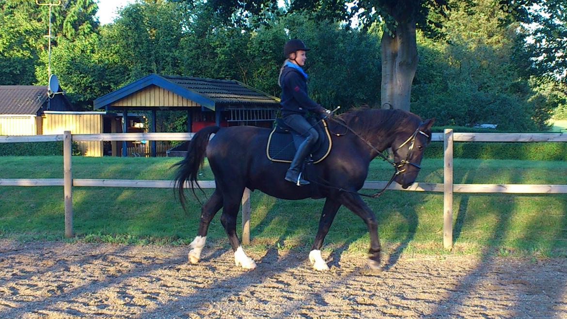 Oldenborg Odin billede 10