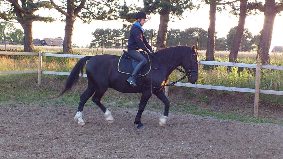 Oldenborg Odin billede 8