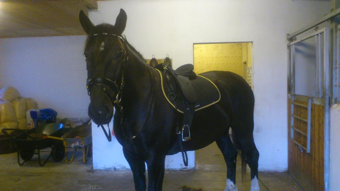 Oldenborg Odin billede 2