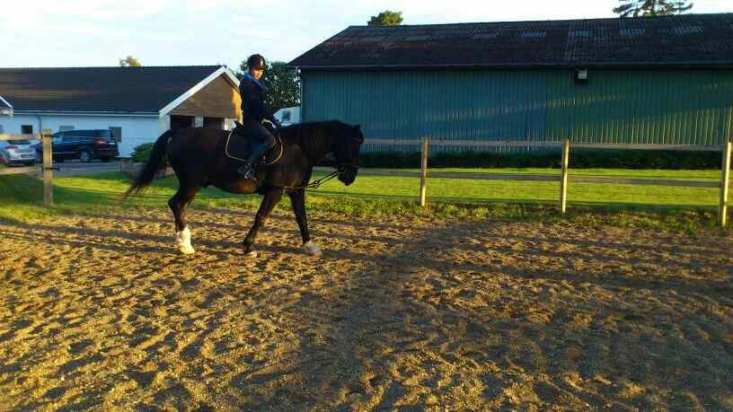 Oldenborg Odin billede 3