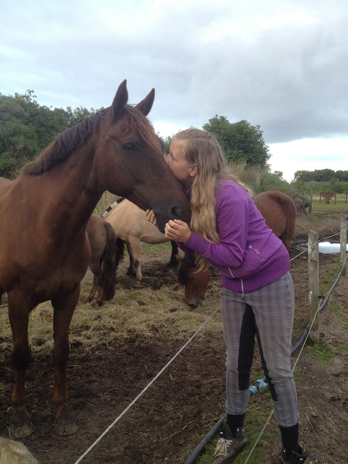 Anden særlig race Malibu<3 - mysser farvel <3 billede 20