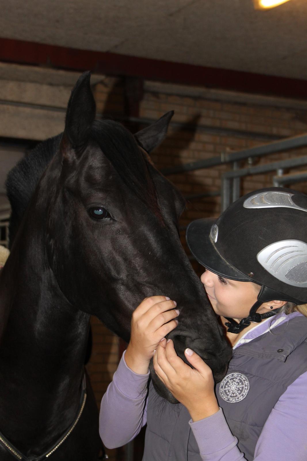 Anden særlig race Medomgårds Malle (Pensioneret) billede 2