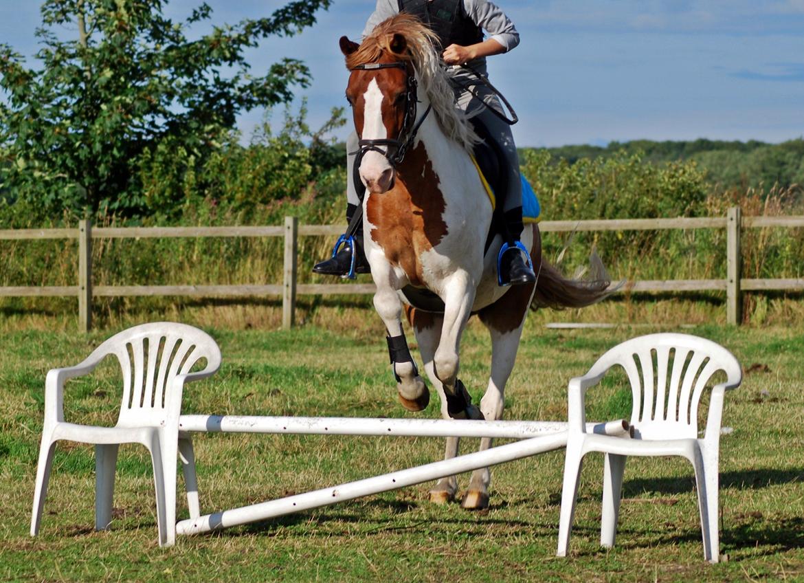 Pinto Asasara Calvin, //Jeg savner dig// - Baby-Jump yeahh! billede 25