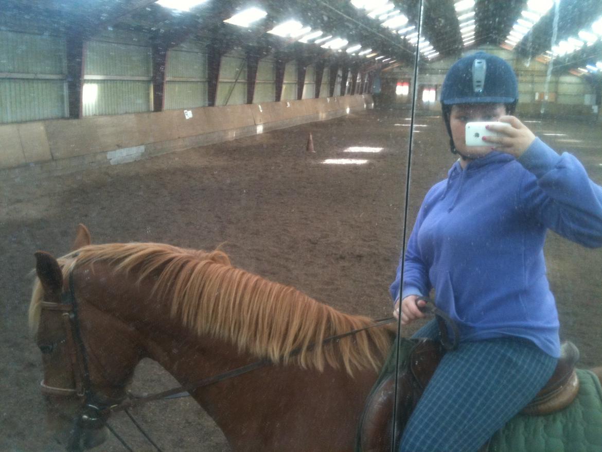 Frederiksborg Bakkegårds Nathasja billede 13