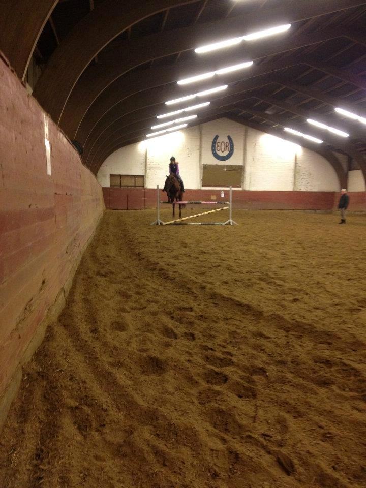 Anden særlig race Malibu<3 - lige at lidt bedre billede hvor jeg springer 1 M <3 billede 5