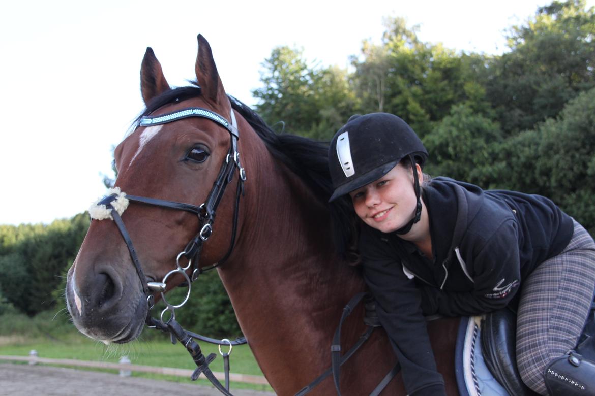 Dansk Varmblod Aprillo<3 - Min kønne hest <3 Foto: Stinne<3 billede 13