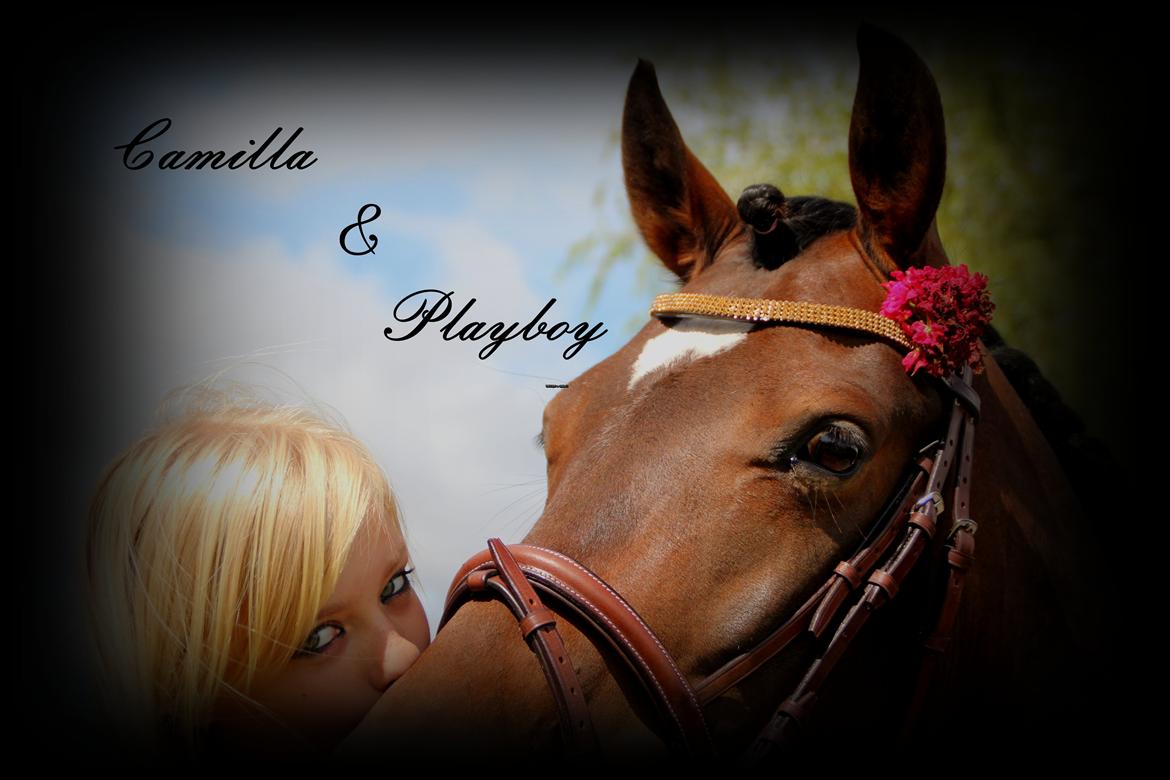Anden særlig race Bakkegårdens Playboy - Hello! velkommen til Playboys profil! :D *Foto Christine* [2012] billede 1