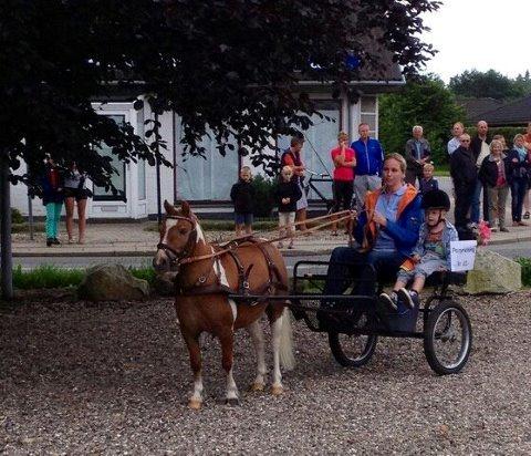 Anden særlig race Stuart Little Largo - Min smukke mini-hest :)
(2012) billede 1