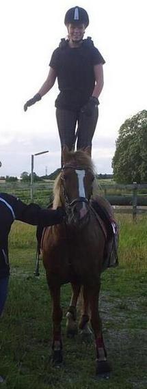 New Forest Flicka! <3 billede 17