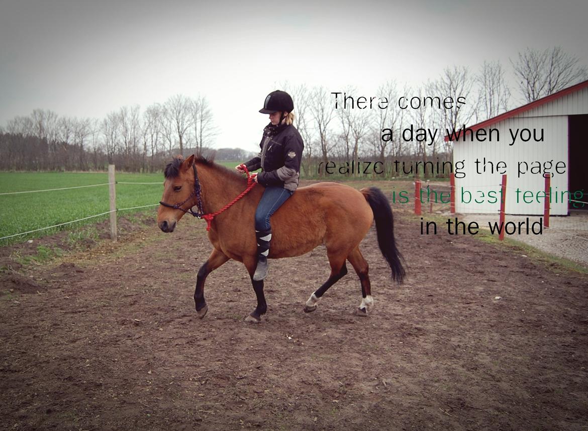 Anden særlig race Flicka billede 6