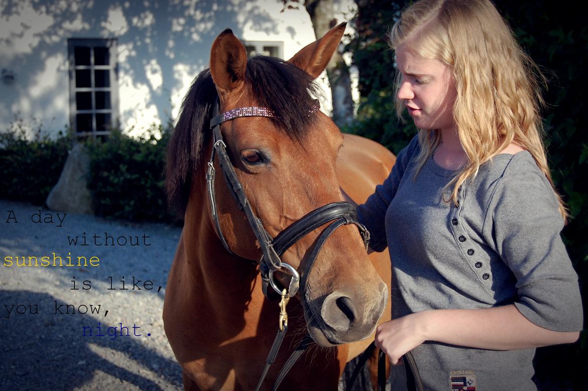 Anden særlig race Flicka billede 12