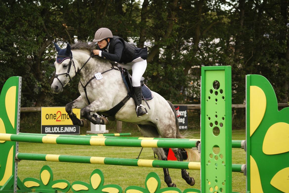 Anden særlig race Lukas - Kallehavegaard 2011 Danmarks Cup  billede 19