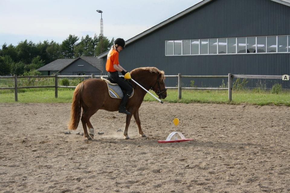 Anden særlig race Minimax - jaja. pony games kan vi også :) FOTO:Helena Alex  billede 8