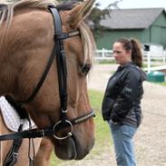 Anden særlig race Manja