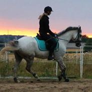 Anden særlig race Saybia <3