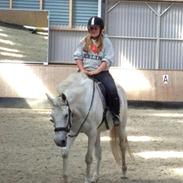 Fuldblod (XX) Royal Pride