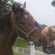 Anden særlig race Mikado/ Figaro