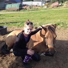 Anden særlig race Flicka <3