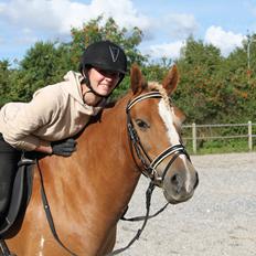 Anden særlig race Hidalgo