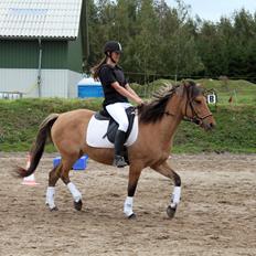 Anden særlig race Manja