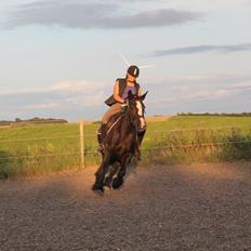 Tinker *Dronning Victoria*