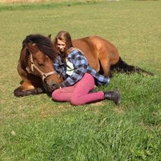 New Forest Tequila Sunrise