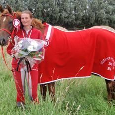 Arabisk fuldblod (OX) Makao