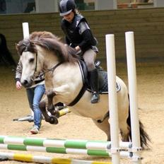 Anden særlig race Tarsan