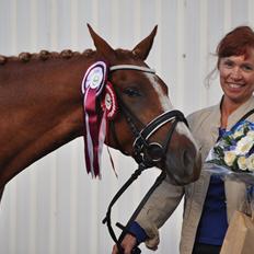 DSP birkelunds charina