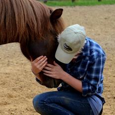 Islænder Sol fra Ærtebjerg