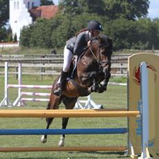 New Forest Lundemarksg. Hokus Pokus